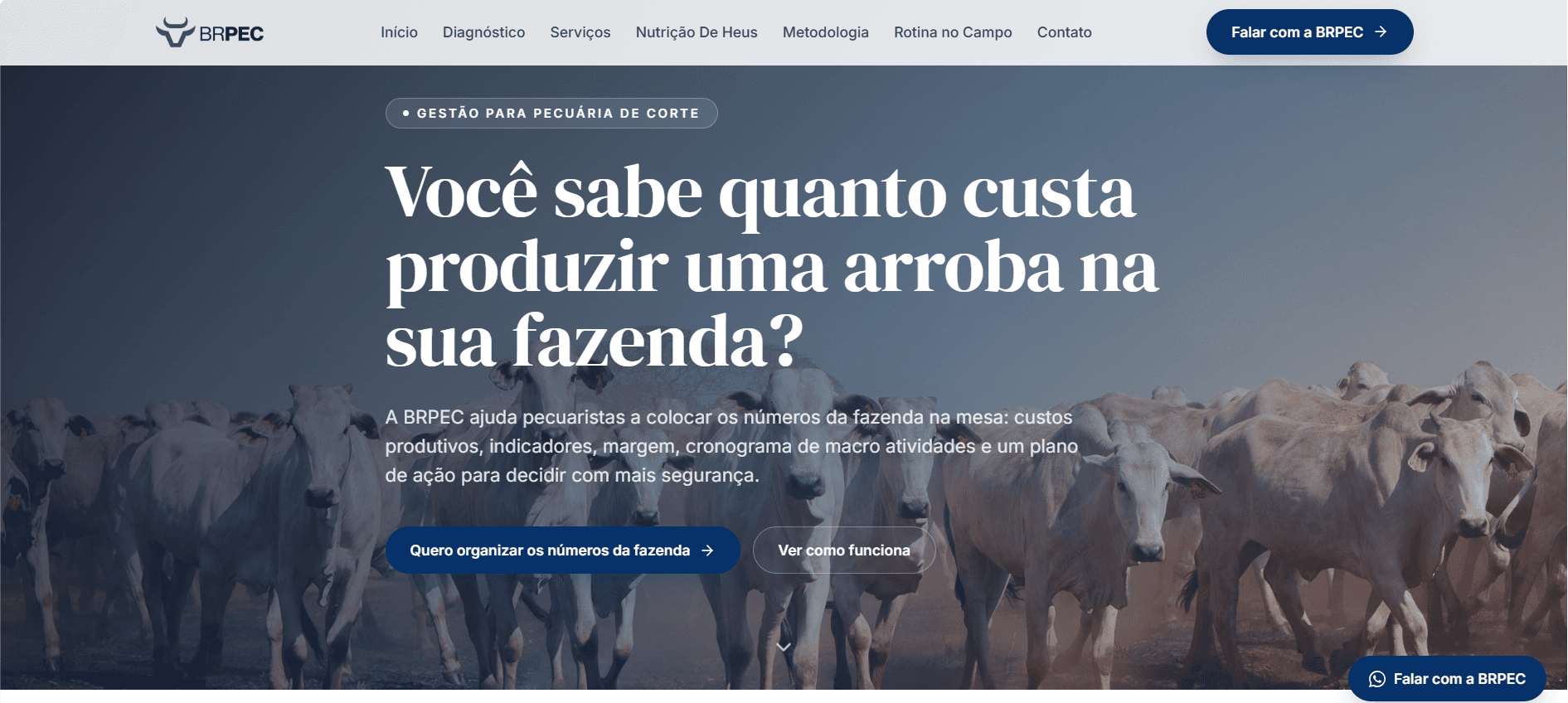Versão desktop do site institucional da BRPEC