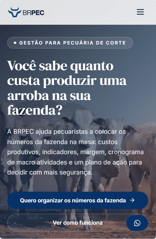 Versão mobile do site institucional da BRPEC